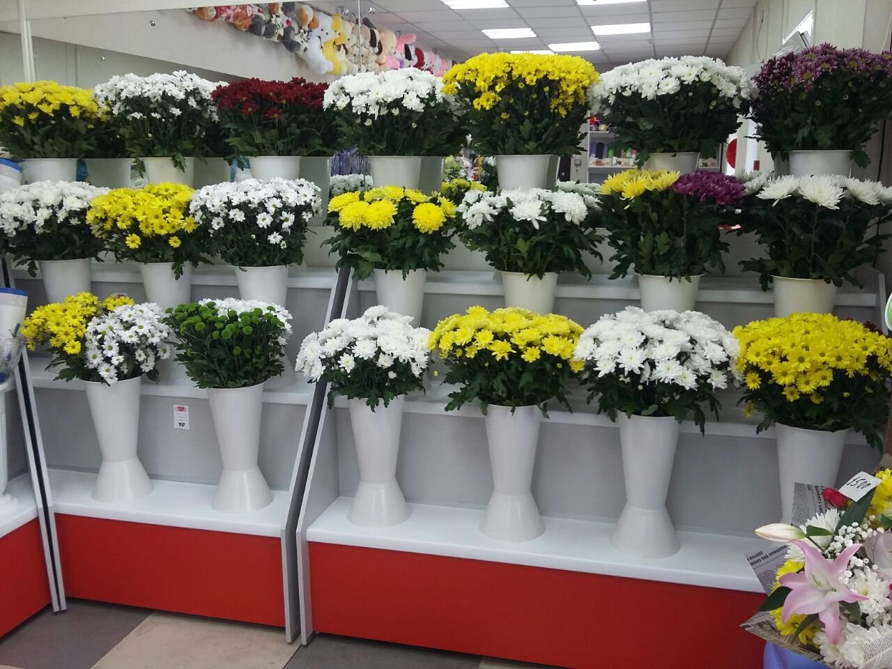 Где Купить Цветы В Приморском Районе