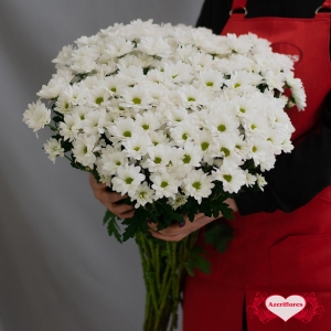Купить хризантему ромашки белую с доставкой в Хабаровске