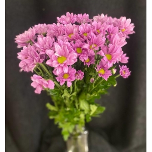 Купить хризантему «Ромашка» розовую с доставкой в Хабаровске