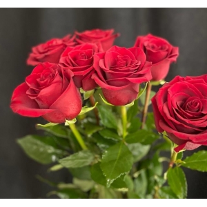 Купить красную розу с доставкой в Хабаровске