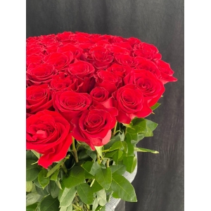Купить розу Эксплорер метровая с доставкой в Хабаровске