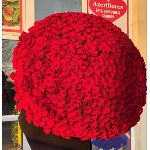 Купить охапку из 501 красной розы с доставкой в Хабаровске