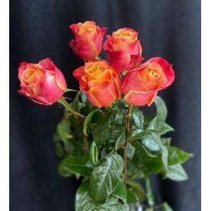 Купить розу 3D с доставкой в Хабаровске