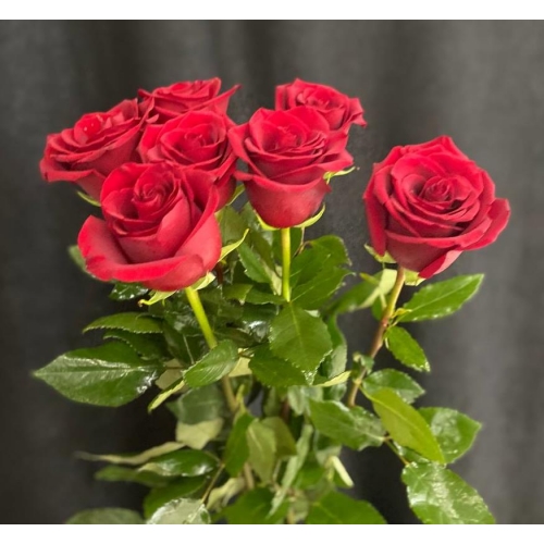 Купить красную розу с доставкой в Хабаровске