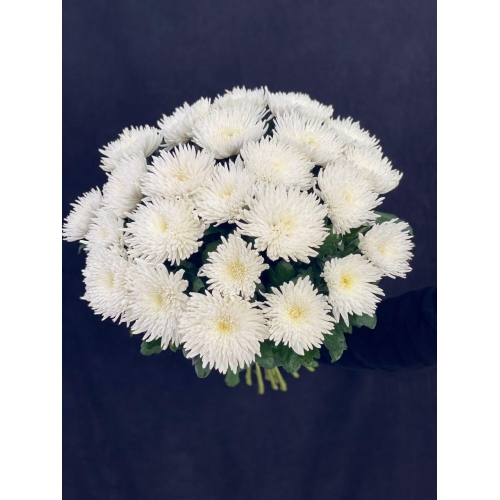 Купить одиночную хризантему с доставкой в Хабаровске
