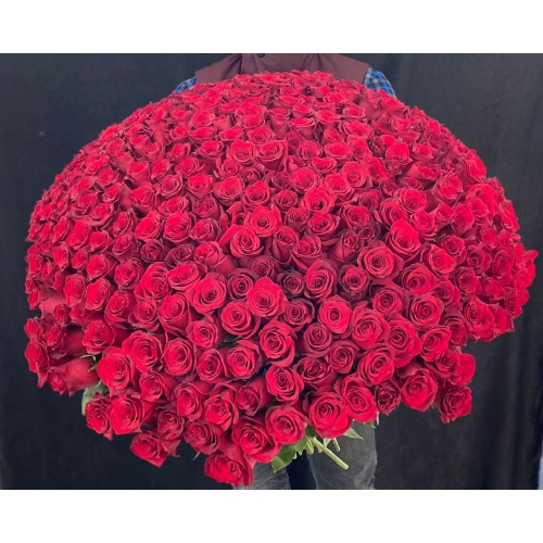 Купить охапку из 351 роз с доставкой в Хабаровске