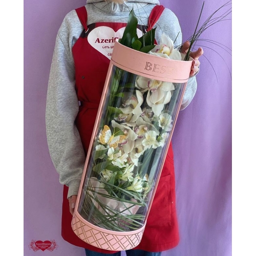 Купить орхидею в коробке с доставкой в Хабаровске