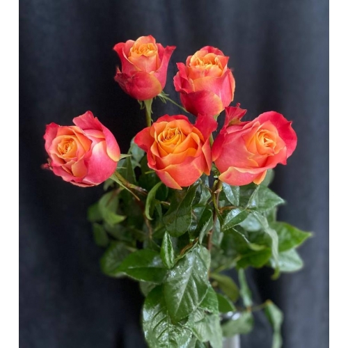 Купить розу 3D с доставкой в Хабаровске