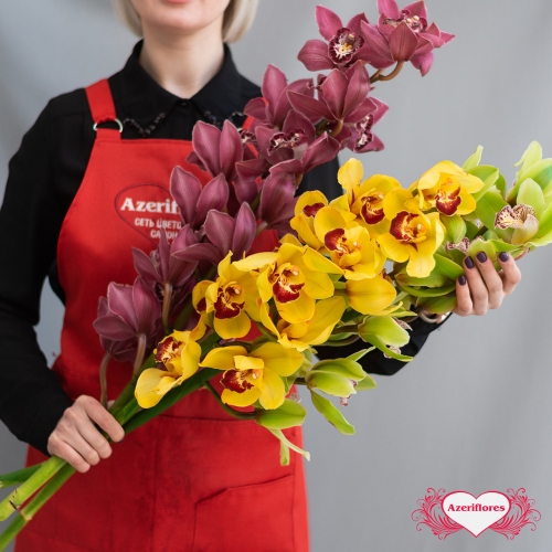 Купить ветку орхидеи поштучно в Хабаровске