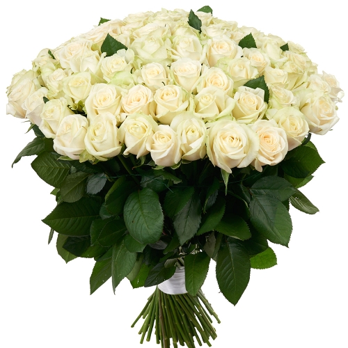 Купить охапка из 101 белых роз в Хабаровске